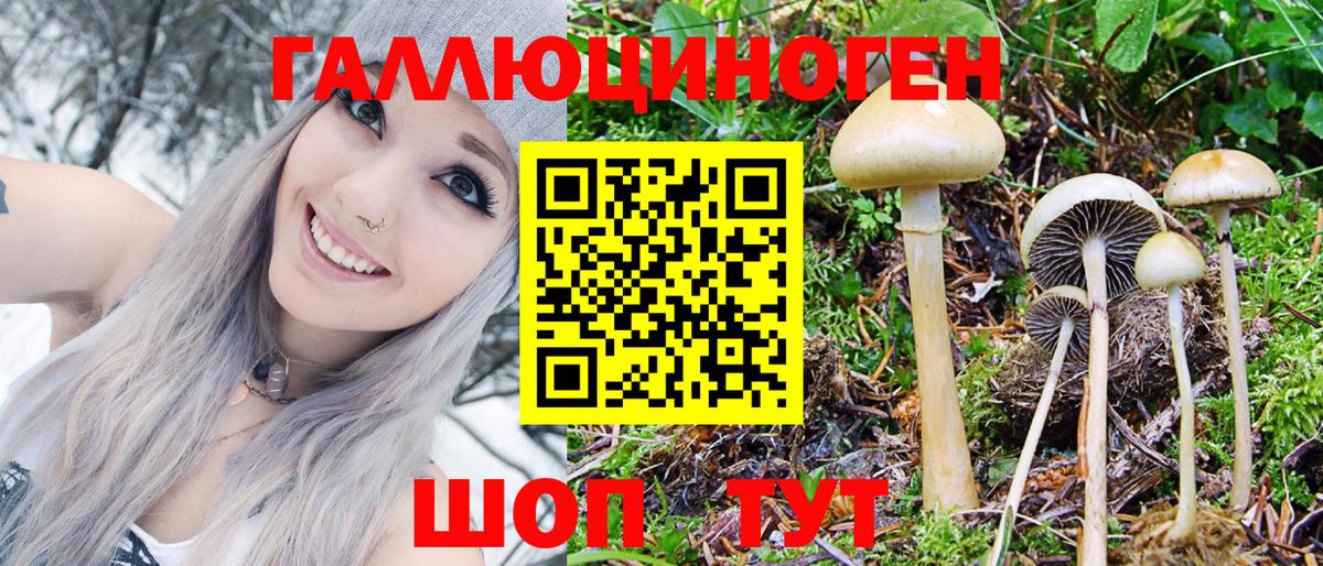 Псилоцибиновые грибы ЛСД Егорьевск